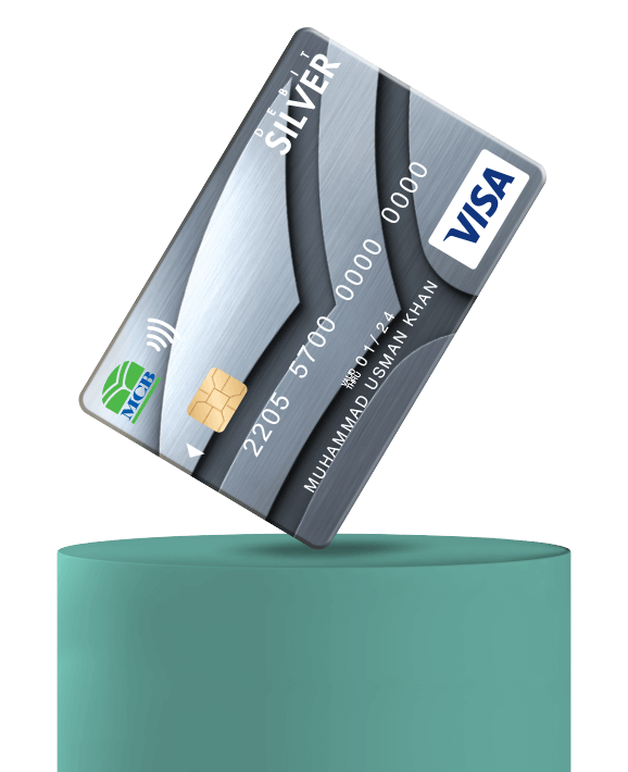 Visa Silver Debit Card